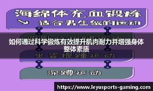 如何通过科学锻炼有效提升肌肉耐力并增强身体整体素质