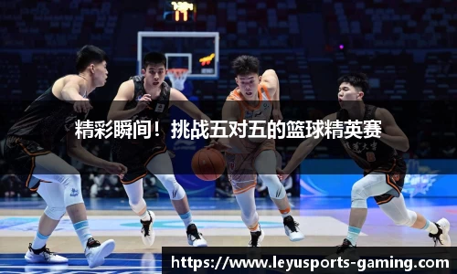 精彩瞬间！挑战五对五的篮球精英赛