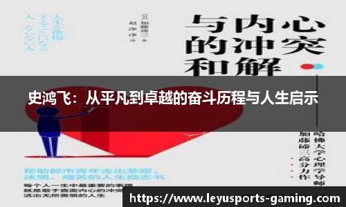 史鸿飞：从平凡到卓越的奋斗历程与人生启示